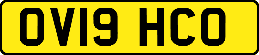 OV19HCO