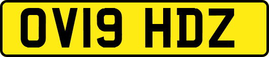 OV19HDZ