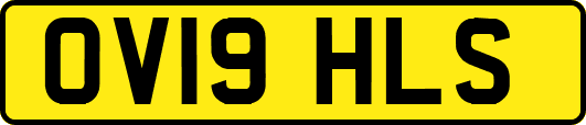 OV19HLS