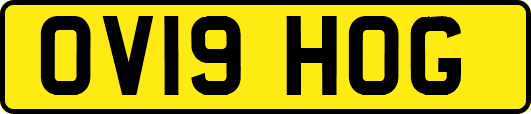 OV19HOG