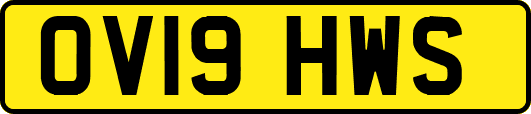 OV19HWS