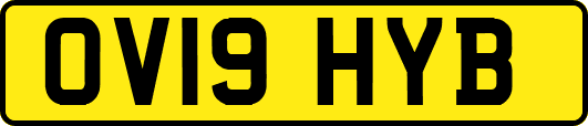 OV19HYB