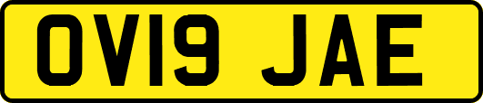 OV19JAE