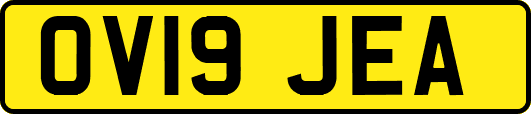 OV19JEA