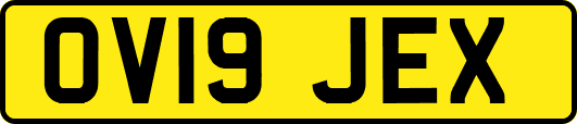 OV19JEX