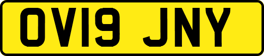 OV19JNY