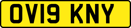 OV19KNY