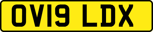 OV19LDX