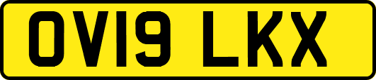 OV19LKX