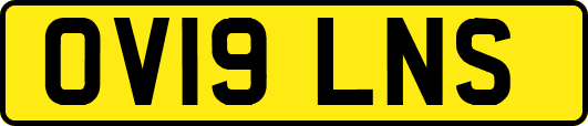 OV19LNS