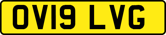 OV19LVG