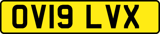 OV19LVX