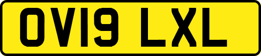 OV19LXL