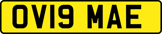 OV19MAE