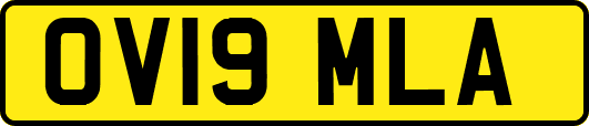 OV19MLA