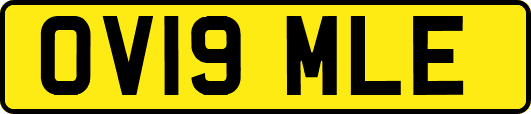 OV19MLE
