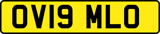 OV19MLO