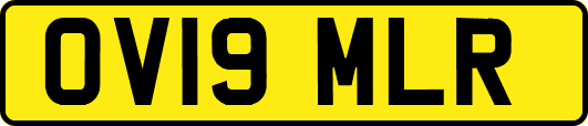 OV19MLR