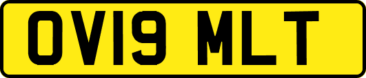 OV19MLT