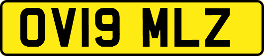 OV19MLZ