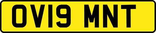 OV19MNT