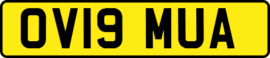 OV19MUA
