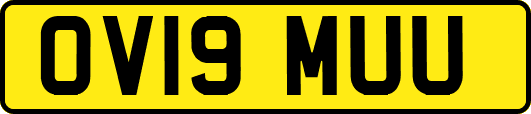OV19MUU