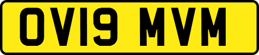 OV19MVM