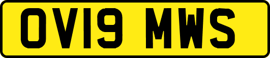 OV19MWS