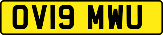 OV19MWU