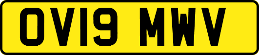 OV19MWV