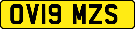 OV19MZS