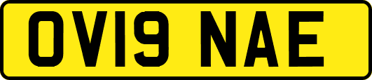 OV19NAE
