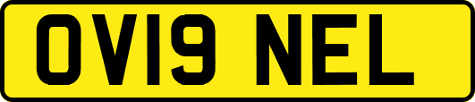 OV19NEL