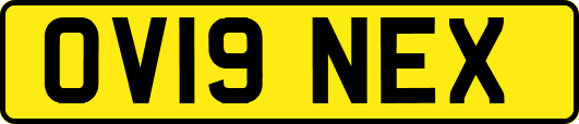 OV19NEX