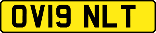 OV19NLT