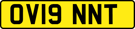 OV19NNT