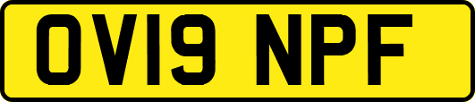 OV19NPF