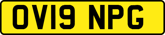 OV19NPG