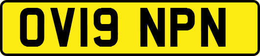 OV19NPN