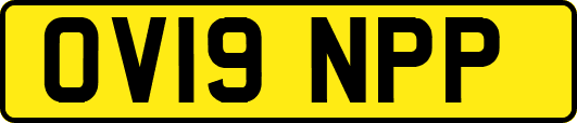 OV19NPP