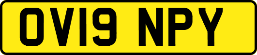 OV19NPY