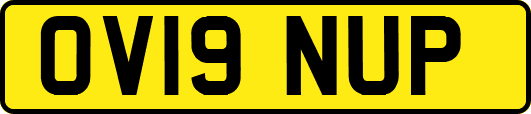 OV19NUP