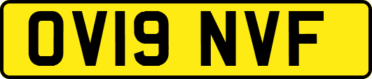 OV19NVF