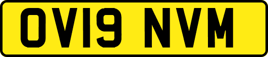 OV19NVM