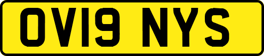 OV19NYS
