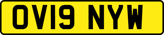 OV19NYW