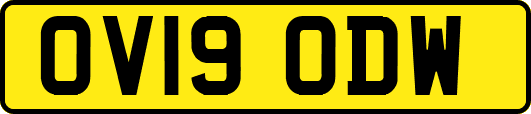 OV19ODW