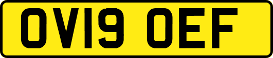 OV19OEF