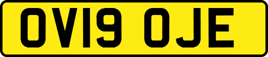 OV19OJE